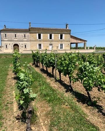 Gîte du Château La Rose des Vents Puisseguin Extérieur photo